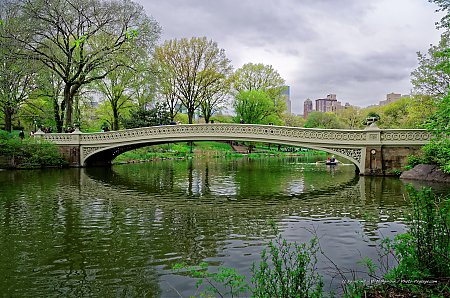 Bow-Bridge---The-Lake---Central-Park.jpg