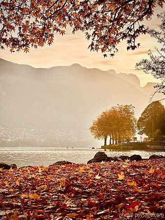 Brume-Automne-lac-Annecy.jpeg