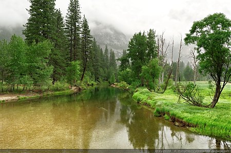 Brume-au-dessus-de-la-riviere-dans-le-Yosemite-National-Park.jpg