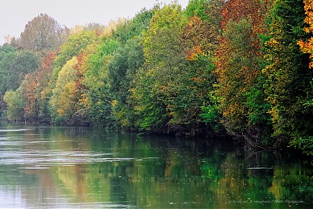 Brume-d_automne-sur-les-bords-de-Marne.jpg