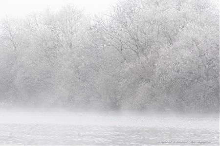 Brume-et-givre-sur-les-bords-de-la-Marne.jpg