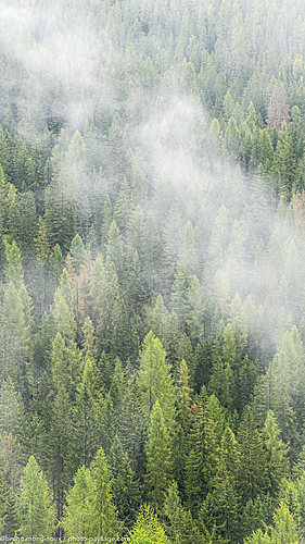 Nom du fichier=Brume-foret-Dolomites-IMG_6710.jpeg
Taille du fichier=5131Ko
Dimensions : 2268x4032
Ajouté le : 14 Septembre 2025