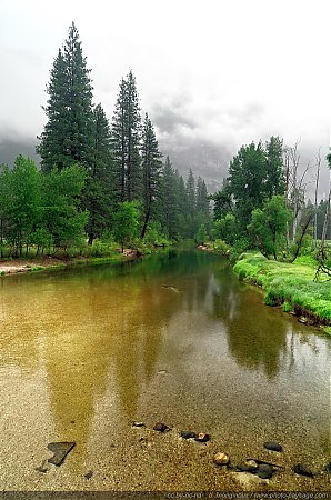 Brume-sur-la-Merced-river.jpg