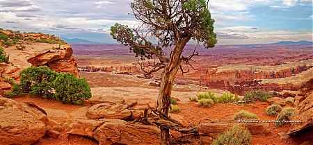 Canyonlands---panorama-sur-Monument_Bassin-vu-depuis-le-sentier-qui-longe-le-bord-de-la-falaise.jpg