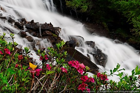 Cascades_de_la_combe_de_Narreyroux_-_08.jpg