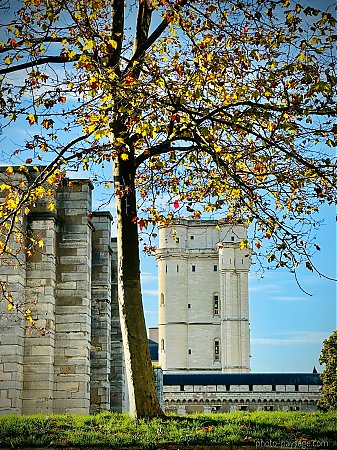 Chateau-vincennes-donjon-automne.jpeg