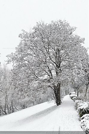 Chutes_de_neige_sur_les_bords_de_Marne_02.jpg