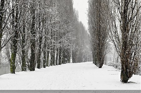 Chutes_de_neige_sur_les_bords_de_Marne_03.jpg