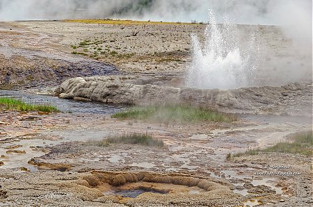 Cliff-Geyser-dans-le-Black-sand-basin.jpg