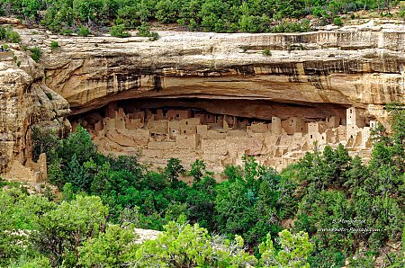 Cliff_Palace_-_Mesa_Verde.jpg