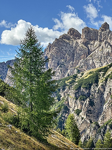 Nom du fichier=Conifere-dolomites-trois_cimes-IMG_7032.jpeg
Taille du fichier=6618Ko
Dimensions : 3024x4032
Ajouté le : 14 Septembre 2025