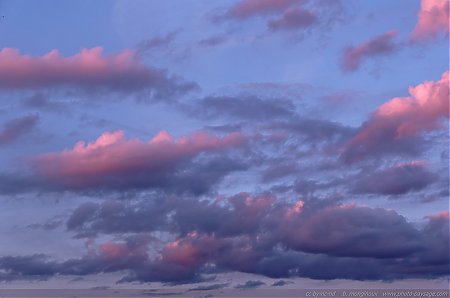 Des-nuages-teintes-de-rose-avant-le-lever-du-soleil---1.jpg