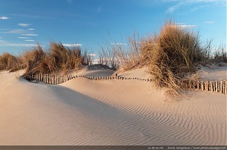 Des_dunes_sur_la_plage_de_l_Espiguette.jpg