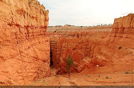 Descente-a-travers-les-Hoodoos.jpg