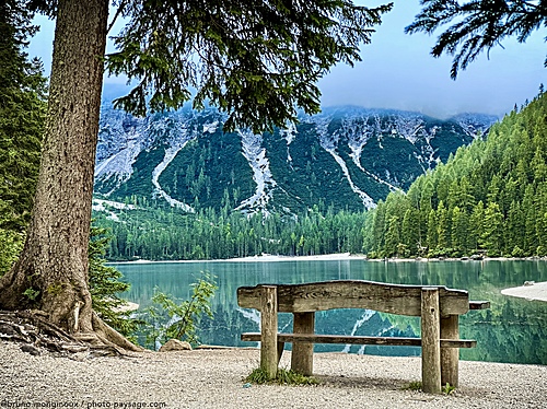 Nom du fichier=Dolomites-Italie-banc_face_au_lac_de_Braies-IMG_6780.jpeg
Taille du fichier=6180Ko
Dimensions : 3947x2960
Ajouté le : 07 Septembre 2025 Nom du fichier=Dolomites-Italie-banc_face_au_lac_de_Braies-IMG_6780.jpeg
Taille du fichier=6180Ko
Dimensions : 3947x2960
Ajouté le : 07 Septembre 2025