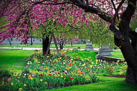 Les plus belles images de printemps - Photo-Paysage.com Photo ...