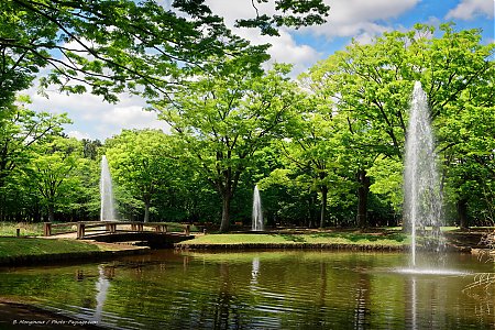 Fontaines_dans_le_parc_Yoyogi-Tokyo.jpg