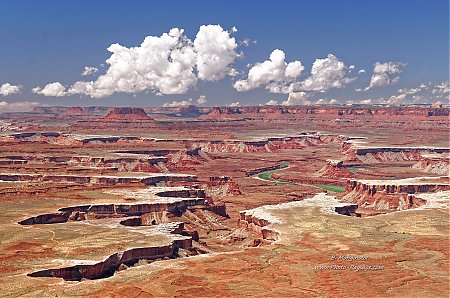 Island-in-the-sky-vue-sur-la-Green-river.jpg