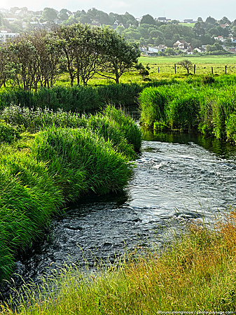 L-hyere-criel_sur_mer-normandie-campagne.jpeg