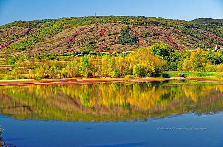 L_automne_sur_les_rives_de_ruffe_du_Salagou_-16.jpg