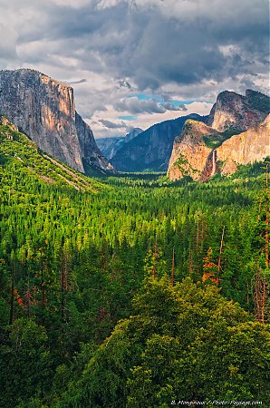 La-vallee-de-Yosemite-photographiee-depuis-Tunnel-View.jpg