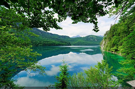 Lac-Alpsee-bei-Schwangau.jpg