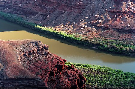 Le-fleuve-du-Colorado-au-contrebas-de-Dead-Horse-Point.jpg