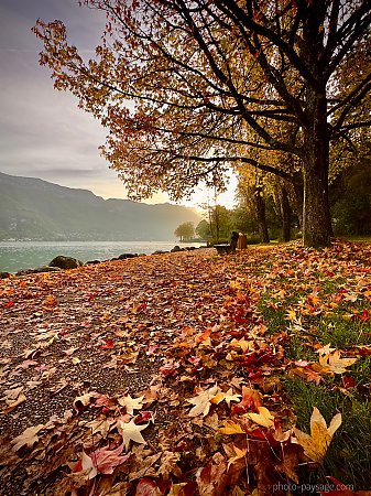Le-lac-Annecy-automne-feuilles_mortes.jpeg