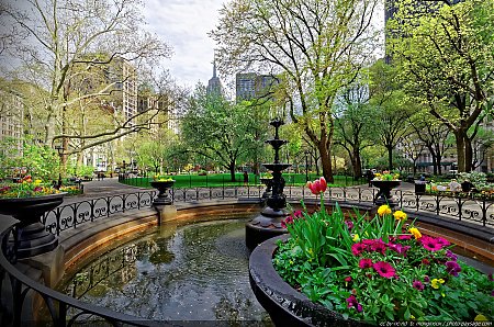 Le-printemps-a-Madison-Square-park---2.jpg