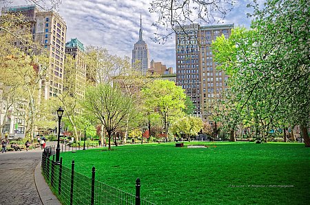 Nom du fichier=Le-sommet-de-l_Empire-State-vu-depuis-Madison-square-park_.jpg
Taille du fichier=6270Ko
Dimensions : 4288x2848
Ajouté le : 28 Mai 2016 Le-sommet-de-l_Empire-State-vu-depuis-Madison-square-park_.jpg