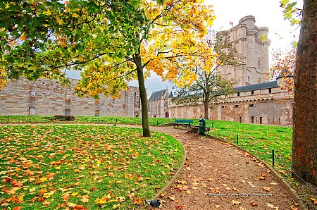 Le_chateau_de_Vincennes.jpg