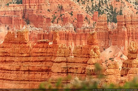 Les-Hoodoos-de-Bryce-Canyon---3.jpg