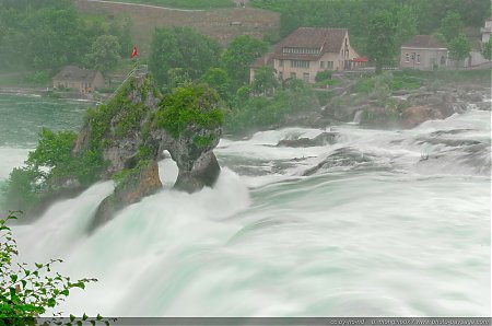 Les-chutes-du-Rhin---les-plus-grandes-chutes-d-eau-d-Europe.jpg