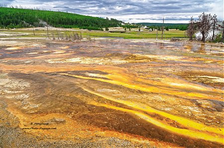 Les-couleurs-vives-des-sources-thermales-de-Black-Sand-basin---2.jpg