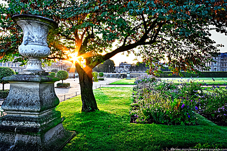 Lever-de-soleil-dans-le-jardin-des-Tuileries.jpg