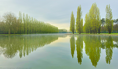 Matin-reflets-grand-canal-parc-sceaux-IMG_0621.jpeg