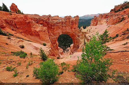 Natural-Bridge2C-un-pont-naturel-cree-par-l_erosion---pluie-et-gel.jpg