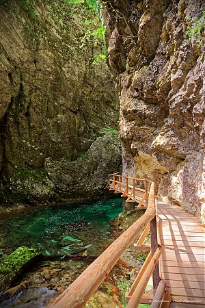 Passerelle_en_bois_parcourant_les_gorges_de_Vintgar.jpg