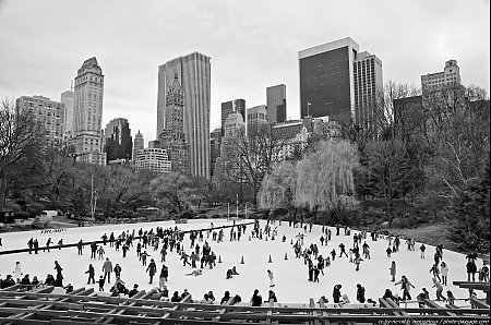 Patinoire-dans-Central-Park.jpg