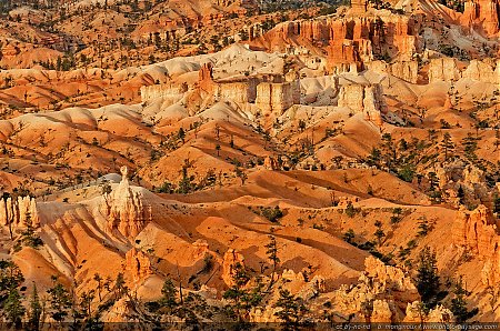 Paysage-Bryce-Canyon.jpg