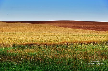 Paysage-de-campagne-dans-le-Colorado.jpg