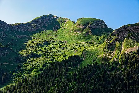 Paysage_de_Haute-Savoie.jpg