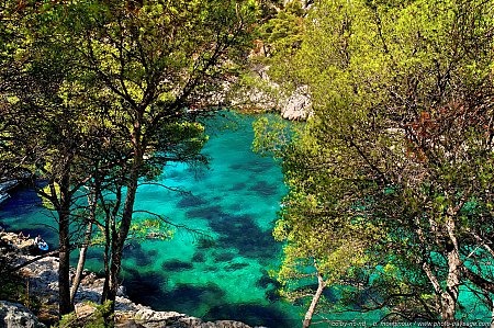 Paysage_des_Calanques_de_Cassis_2.jpg