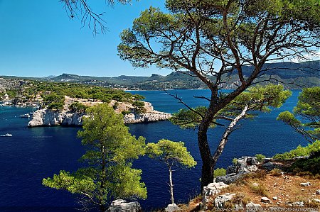 Paysage_des_Calanques_de_Cassis_8.jpg