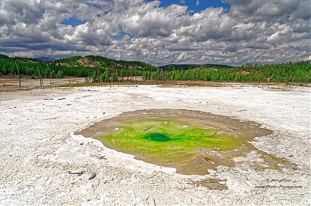 Pearl-Geyser---Norris-geyser-basin---Yellowstone.jpg