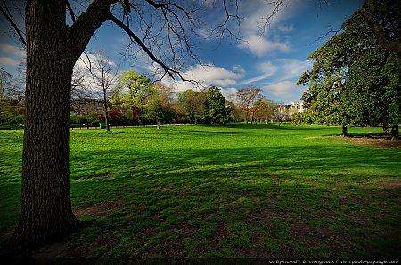 Pelouse-dans-le-parc-Monceau.jpg