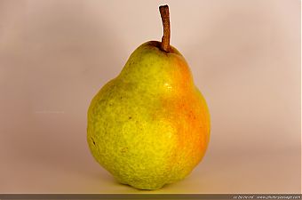 Nom du fichier=Poire.jpg
Taille du fichier=779Ko
Dimensions du wallpaper / de la photo HD : 2409x1600
Image ajoutée le : 05 Septembre 2012 Poire.jpg