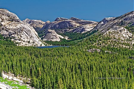 Pywiack_Dome-Tenaya_Lake-depuis-la-Tioga-Road.jpg