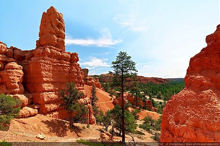 Red-Canyon---01.jpg