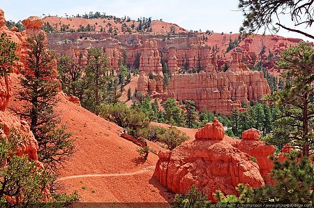 Red-Canyon---05.jpg